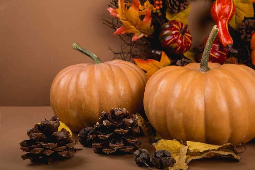 Halloween in Eating Disorder Recovery: How to Handle Candy, Costumes, and Parties